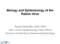 Biology and Epidemiology of the Rabies Virus Rache