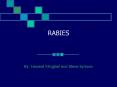 RABIES By: Howard Klingbeil and Steve Symons What is Rabies