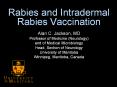 Rabies and Intradermal Rabies Vaccination Alan C. Jackson