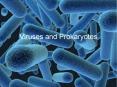 Viruses and Prokaryotes What is a Virus? A virus is 