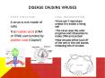 DISEASE CAUSING VIRUSES VIRUS STRUCTURE VIRAL REPRODUCTION 
