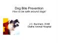 Dog Bite Prevention How to be safe around dogs! J.C