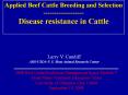 Applied Beef Cattle Breeding and Selection-----Diseas