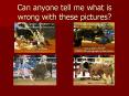 Can anyone tell me what is wrong with these pictures