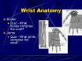 Bones Quiz - What bones comprise the wrist? Joints Quiz 
