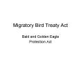 Migratory Bird Treaty Act Bald and Golden Eagle Protectio