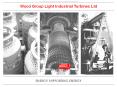 Wood Group Light Industrial Turbines Ltd ENERGY SUPPORTIN