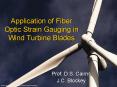 Application of Fiber Optic Strain Gauging in Wind Turbin