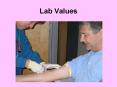 Lab Values Cholesterol Arterial Blood Gas Values Complet