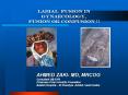 Labial fusion in gynaecology, Fusion oR confusion !! AHME