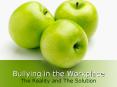 Bullying in the Workplace The Reality and The Solution