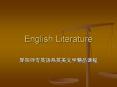 English Literature                 The 18th Century The Ag