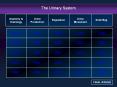 The Urinary System Anatomy & Histology Urine Productio