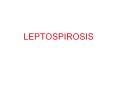 LEPTOSPIROSIS Pendahuluan Leptospirosis yi. Penyakit dema