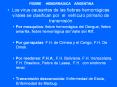 FIEBRE HEMORRAGICA ARGENTINA Los virus causantes de la