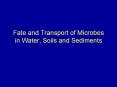 Fate and Transport of Microbes in Water, Soils and Sediment