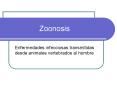 Zoonosis Enfermedades infecciosas transmitidas desd