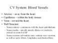 CV System: Blood Vessels Arteries   away from the hear