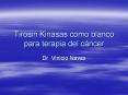 Tirosin Kinasas como blanco para terapia del c ncer Dr