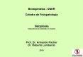 C tedra de Fisiopatolog a Neoplasia (diapositiva