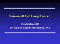 Non-small Cell Lung Cancer Eva Szabo, MD Division of Cance