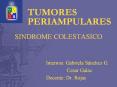 TUMORES PERIAMPULARES SINDROME COLESTASICO Interno