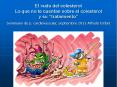 El vudu del colesterol Lo que no te cuentan sobre e