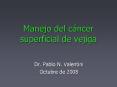 Manejo del c ncer superficial de vejiga Dr. Pablo N