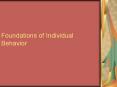 Foundations of Individual Behavior Individual Behavio