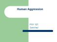 Human Aggression PSY 321 Sanchez  In all of nature, there i