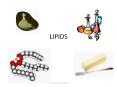 LIPIDS More good things about fat Essential fatty acid