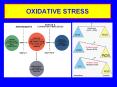 oxidative stress induction of oxidative stress oxidativ