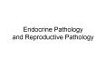 Endocrine Pathology and Reproductive Pathology Definition