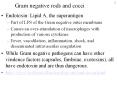 Gram negative rods and cocci Endotoxin: Lipid A, th