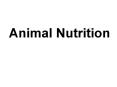 Animal Nutrition           Animal Science 233 Applied Anima