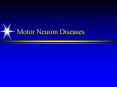Motor Neuron Diseases Motor Neuron Diseases group o