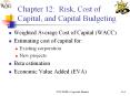 Chapter 12: Risk, Cost of Capital, and Capital Budgetin