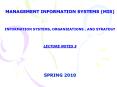 management information systems (mis) information systems