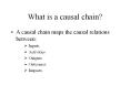 What is a causal chain? A causal chain maps the causa