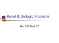 Renal & Urologic Problems Nur 302 Unit III Renal Traum
