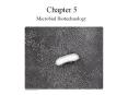 Chapter 5 Microbial Biotechnology Interesting Facts Microbe