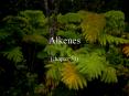 Alkenes (chapter 31) Practice questions Practice question