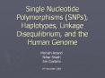 Single Nucleotide Polymorphisms (SNPs), Haplotypes, Linkag