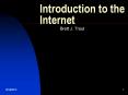 Introduction to the Internet Brett J. Trout The Internet