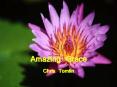 Amazing Grace Chris Tomlin Amazing Grace Chris Tomlin Vers