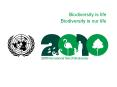 Biodiversity is life Biodiversity is our life Becoming 