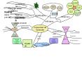 C mo aprender capacidades comprensi n Qu  hacer activida