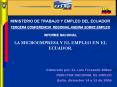 ministerio de trabajo y empleo del ecuador tercer