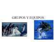 GRUPOS Y EQUIPOS GRUPOS Y EQUIPOS Surgen por la necesida