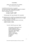 Consumidor An lisis del comportamiento del consumido